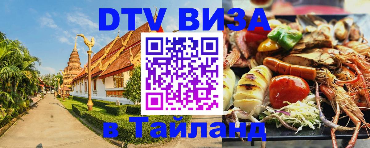 Оформление DTV визы под ключ: стоимость и тарифы, только загранпаспорт - Раменское 